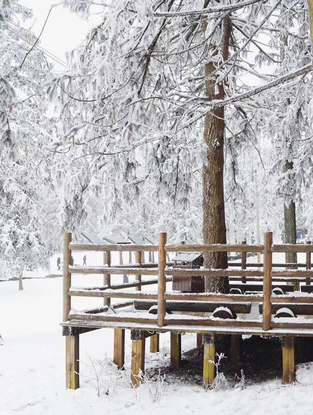 重慶下雪啦分享10個看雪好去處！