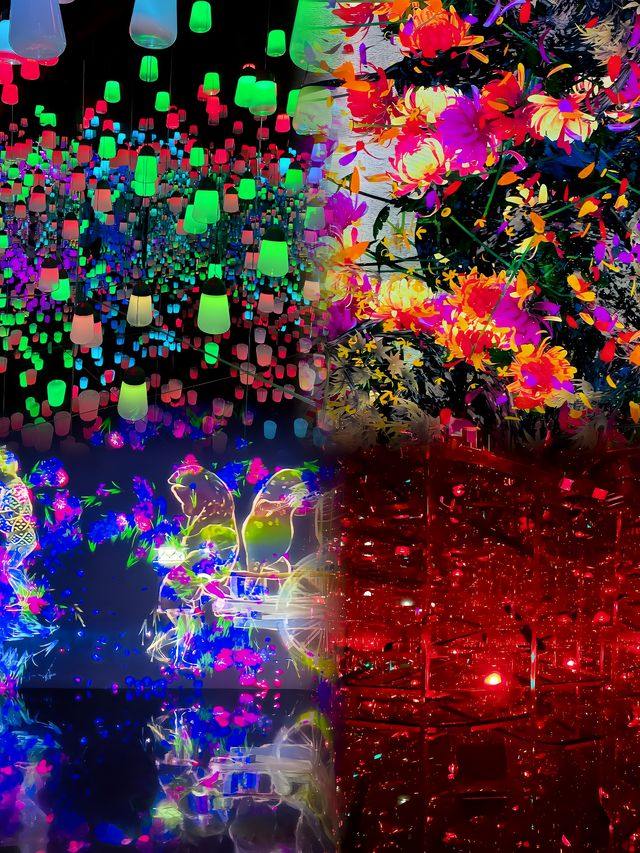 EPSON teamLab 無界美術館：探索無邊界的藝術世界