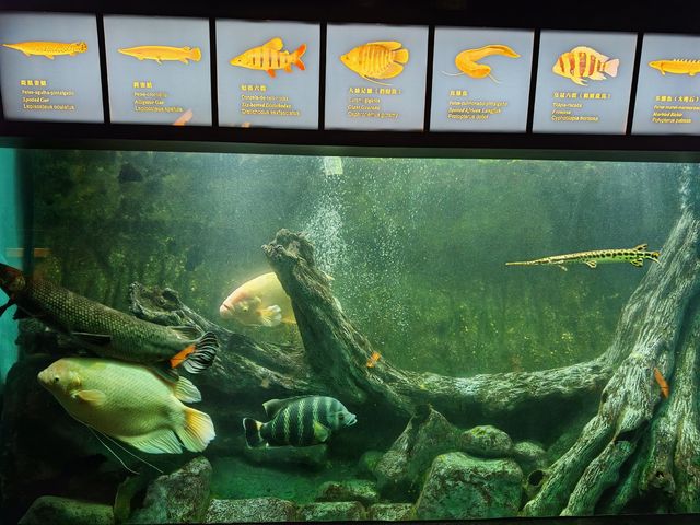 澳門海事博物館