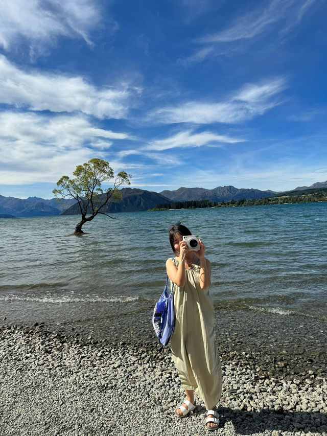新西蘭南島10日深度遊，帶你悠享純淨國度的絕美風光與地道體驗