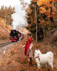 TOP 10 PLACES IN THE HARZ MOUNTAINS, GERMANY 🇩🇪