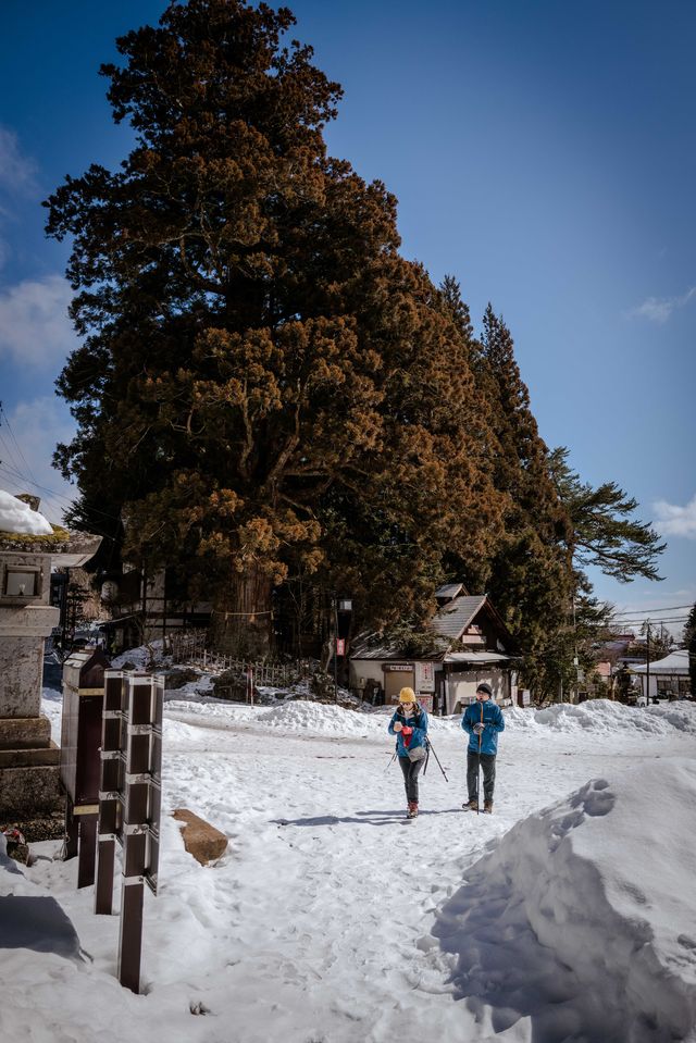 為了這座絕美神社，我在雪地中狂走2萬步