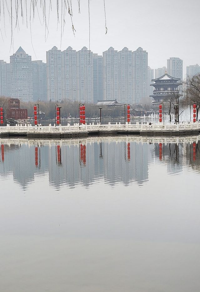 臘月二十六，大唐芙蓉園張燈結彩迎龍年