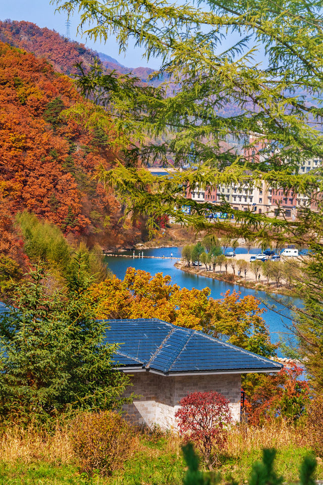 本溪必住 | 寶藏溫泉酒店•觀山湖熙康雲舍健康度假酒店