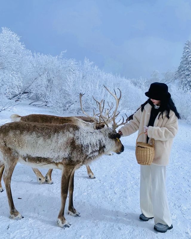 長白山·仙峰雪嶺