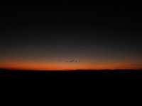 Kenya | Sunrise Hot Air Balloon