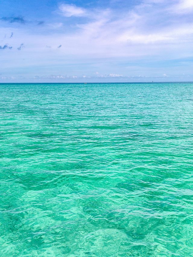 馬來西亞旅遊環滩島果凍海好多魚