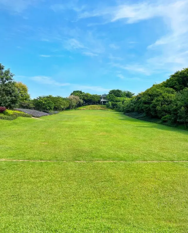 治癒系公園，至少有超大草坪，除非我打開的方式不對？