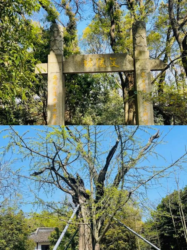 上海天馬山，千年斜塔屹立，此地好風水