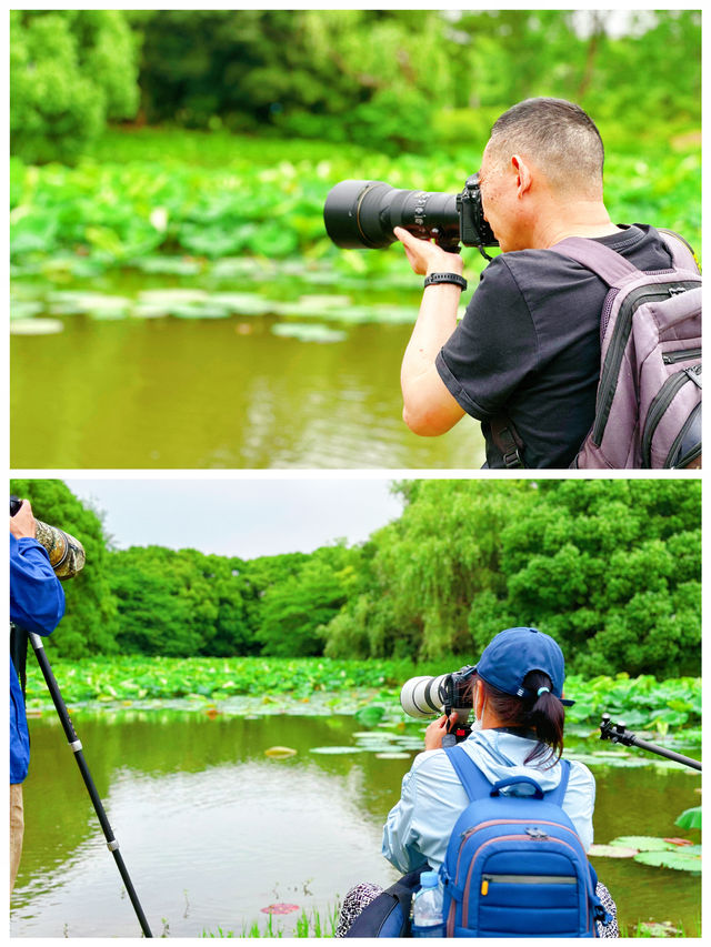 世紀公園｜攝影大咖拍鳥我拍攝影大咖