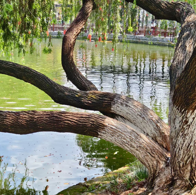 Tranquil Beauty of Keyuan Garden 🏯🌿