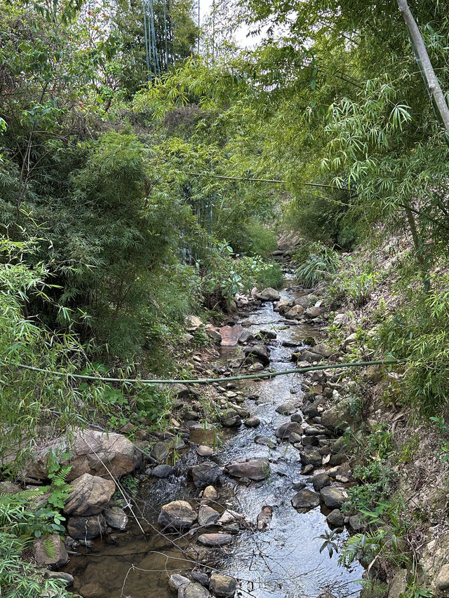 大灣區後花園|廣州週邊遊1h到達春日溪谷山林