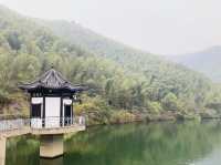 天堂南山，夢幻竹海—江蘇溧陽南山竹海景區