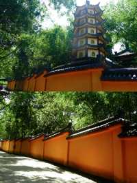 園山景區｜妙覺寺塔林鵝公髻