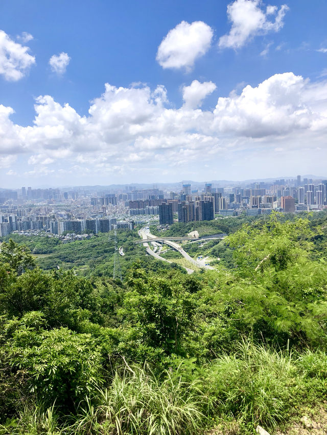 銀湖山郊野公園