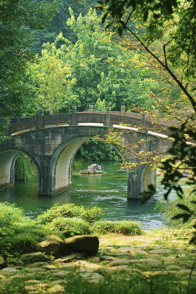 在杭州我找到國內免費公園的天花板~