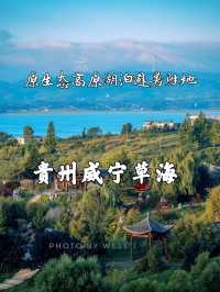 不容錯過的避暑勝地草海！