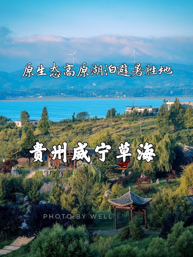 不容錯過的避暑勝地草海！