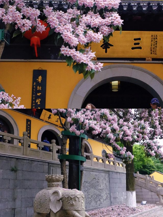 南京｜清涼山中清涼寺|||清涼寺位於南京市鼓樓區，始建於南朝