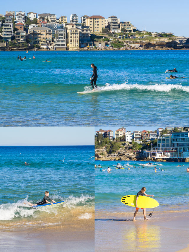 悉尼東海岸最美沙灘：邦迪海灘！