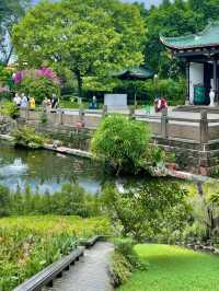 在成都丨唯一我想去無數次的公園！