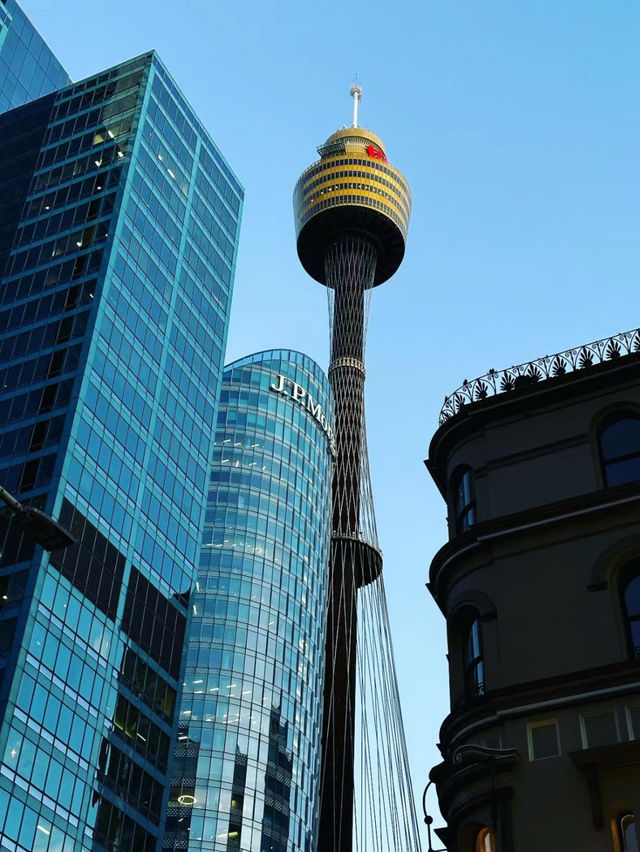 Sydney Tower Eye Worth Visiting 🇦🇺