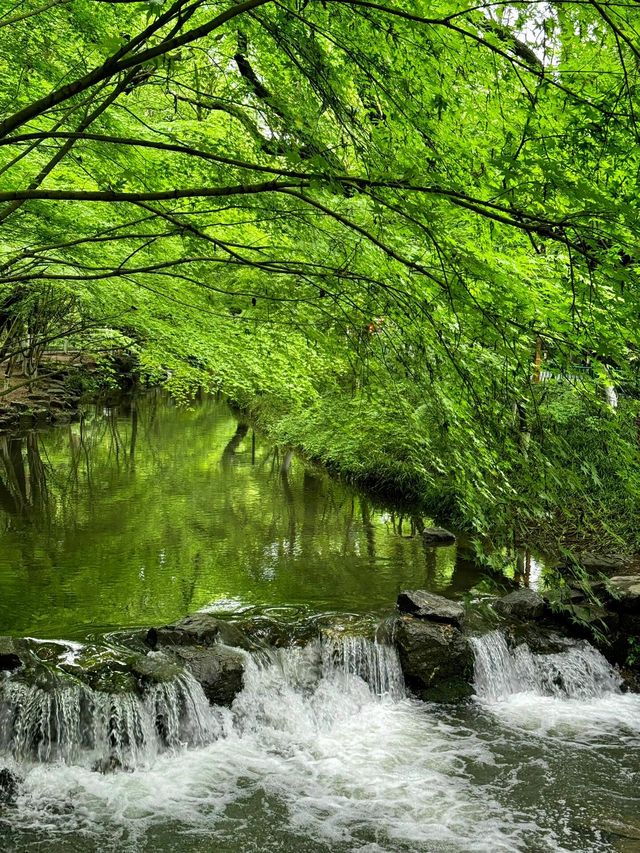 我在杭州走過最舒服的路線溪流瀑布小森林