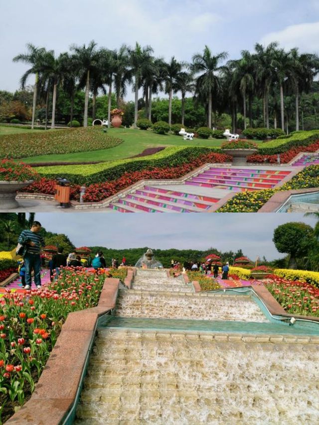 廣州雲台花園賞花