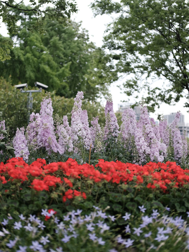 上海賞花已經next level徐匯濱江花展浪漫住了