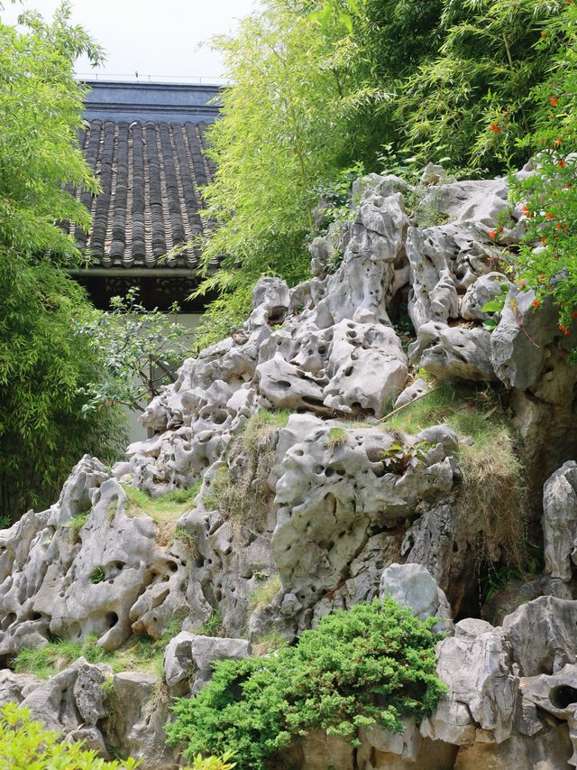 南京|瞻園裡，歷史與自然交融的詩意畫卷