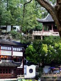 豫園春遊完美攻略