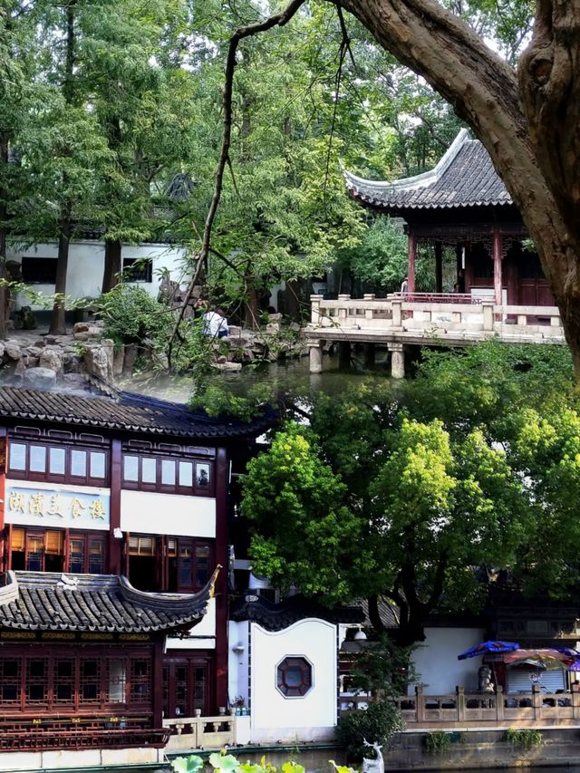 豫園春遊完美攻略