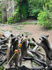 野生動物園