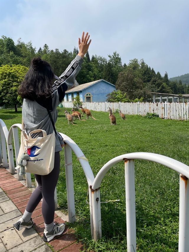 貴陽