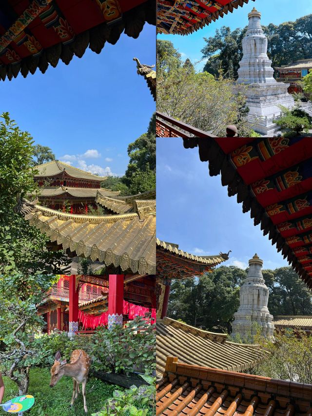 夢回大唐的古風寺廟｜隱秘在彭州的三聖寺