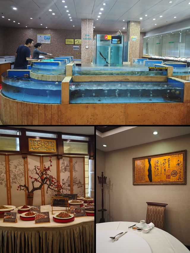 上海周邊超舒適親子酒店