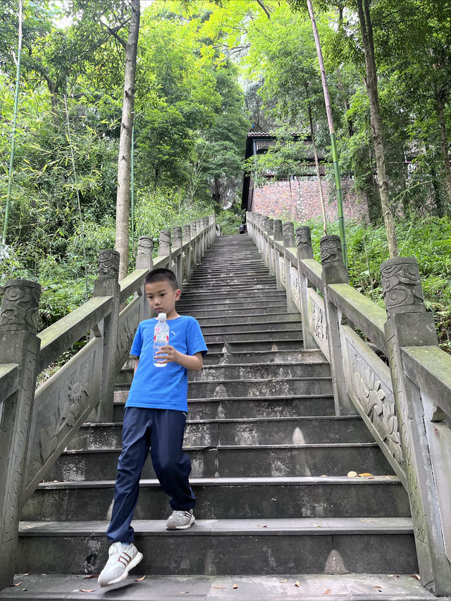 成都仙家重地！見到這隻鶴才算真正去過成都鶴鳴山
