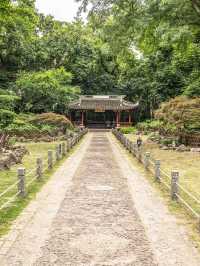 上海中山公園