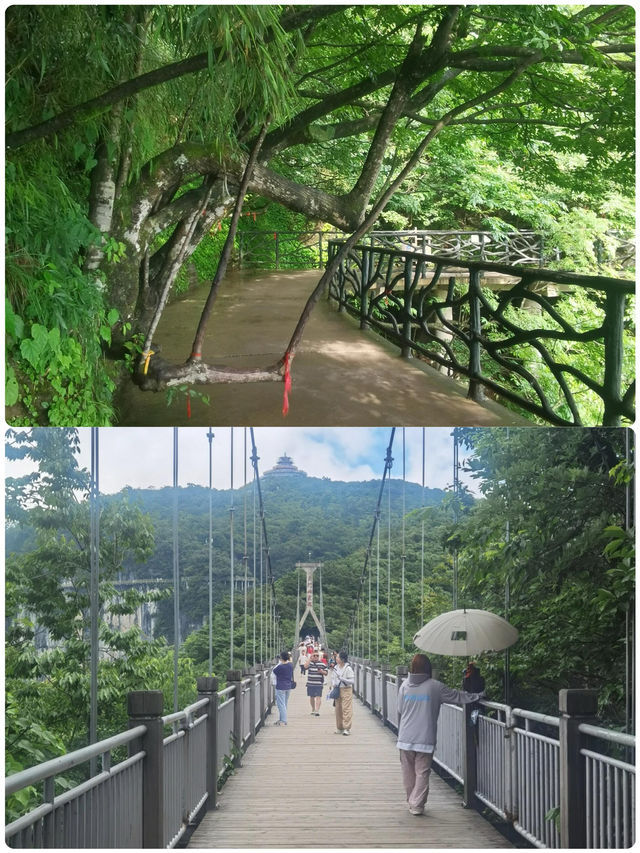 天門山，哇塞！去了才知道！