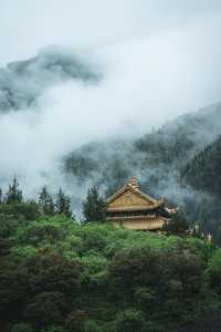一次性講清楚今年的長穿畢有多絕。