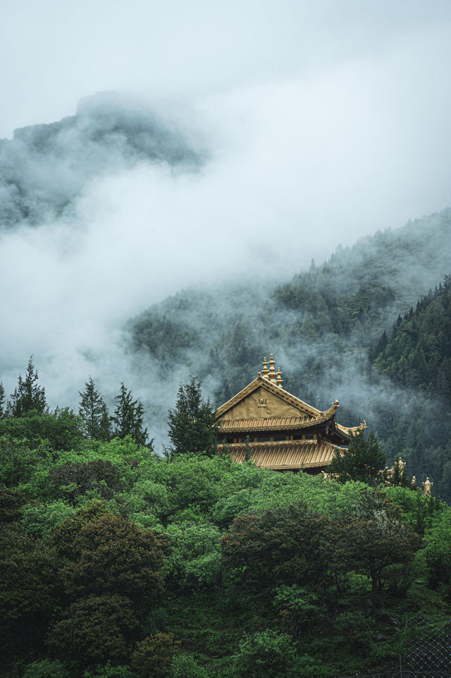 一次性講清楚今年的長穿畢有多絕。