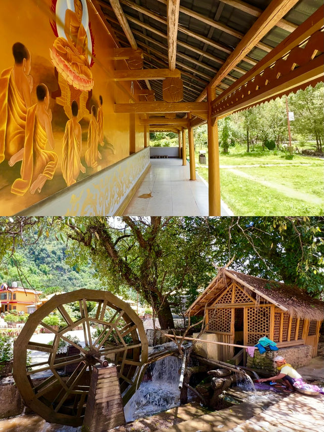 雲南夏日遊，芒見，再忙也要相見