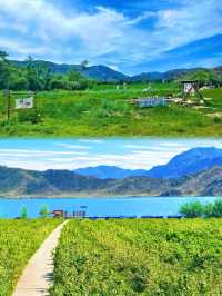 我的阿勒泰之可可托海