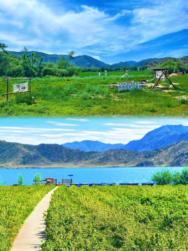 我的阿勒泰之可可托海 我的阿勒泰之可可托海