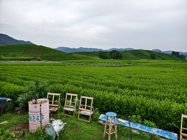 杭州龍坞茶村，一個悠然自得的地方