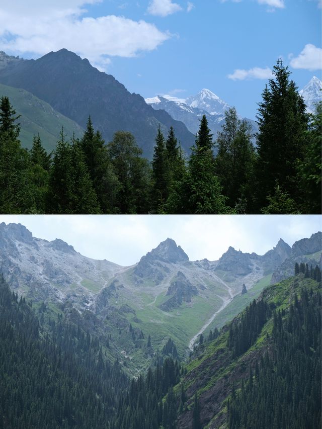 心之所向 — 新疆夏塔 雪山森林草原