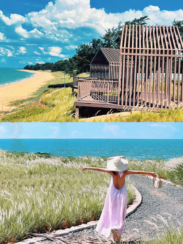 海南島這裡！！！太鬆弛啦……不花錢呆一整天
