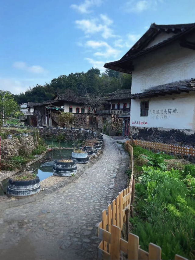 又找到一个旅游宝藏胜地