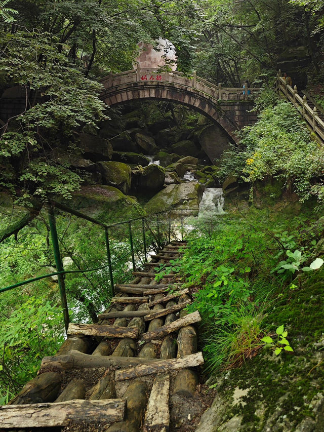 洛陽龍峪灣森林公園，夏日裡的一抹清涼