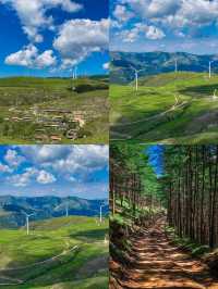 麻田嶺 | 雨後徒步溪流草甸觀牛牛